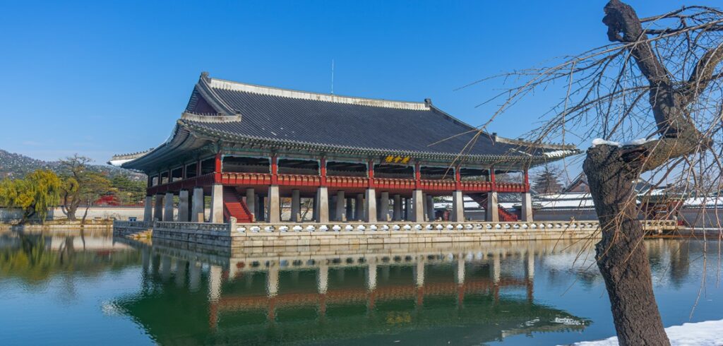 Immersive South Korea Journey
