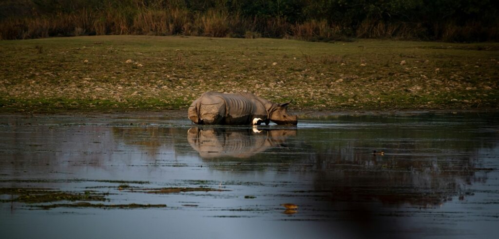 Meghalaya and Kaziranga Adventure