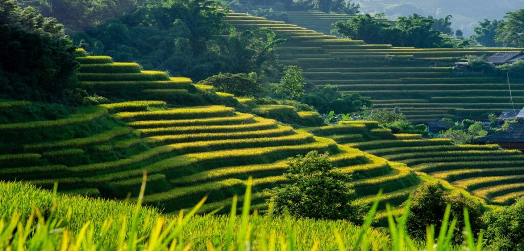 Vietnam Northern Soul