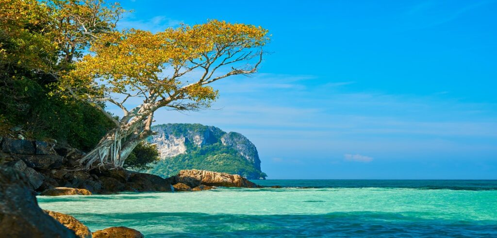Escape to Krabi