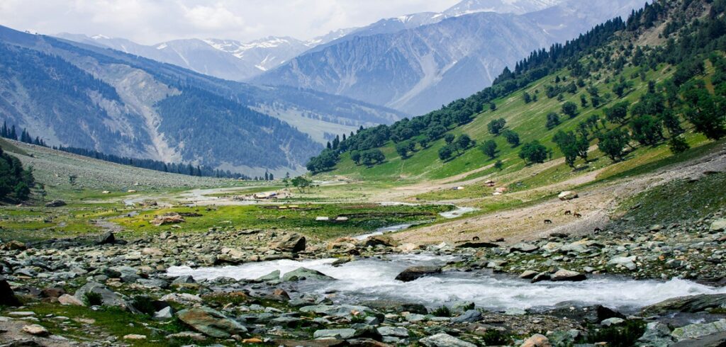 Kashmir Alpine Vistas & Meadow Trails