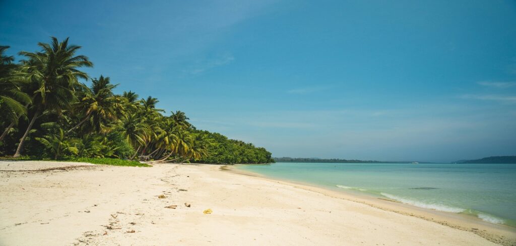 Pearls of Andaman