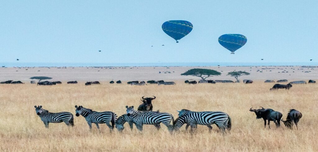 Serena Wilderness Journey