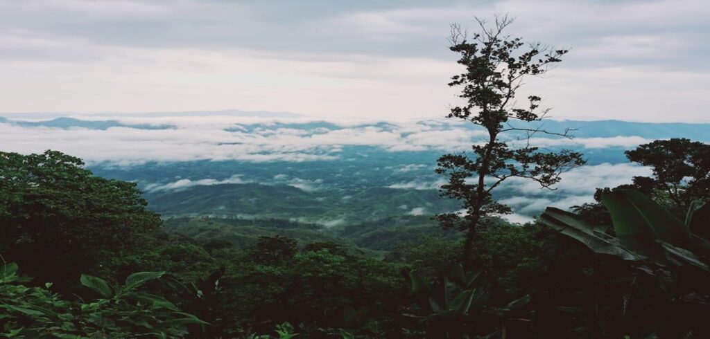 Tripura Unveiled_ Hills, Heritages & Lakes